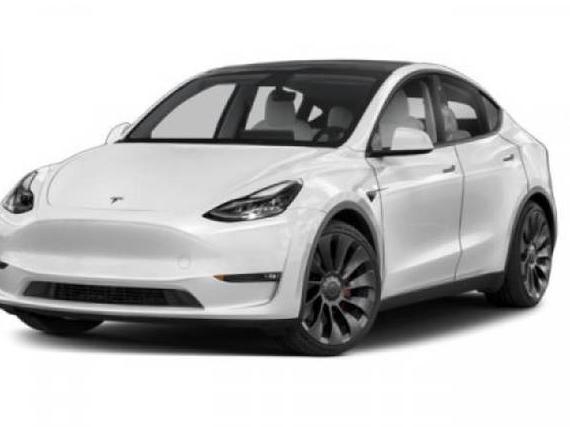 TESLA MODEL Y 2021 5YJYGDEE7MF080446 image